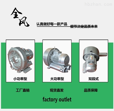 RB-91D-2 真空泵 高效能工业抽气的可靠之选