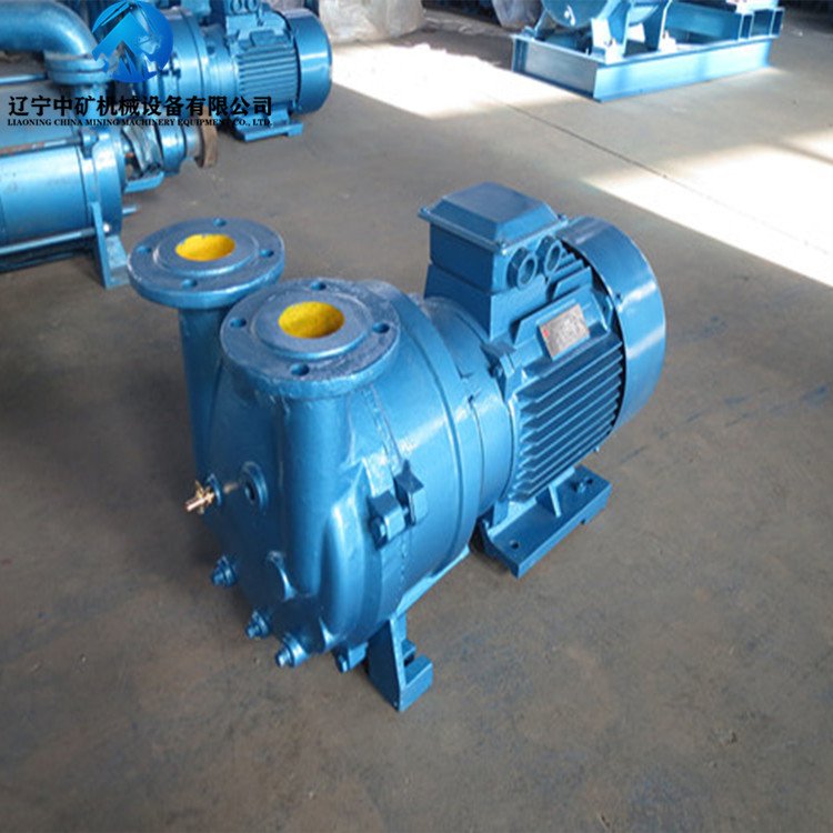 2BV水环式真空泵详解 以2BV5121型号为例，探索其原理与应用